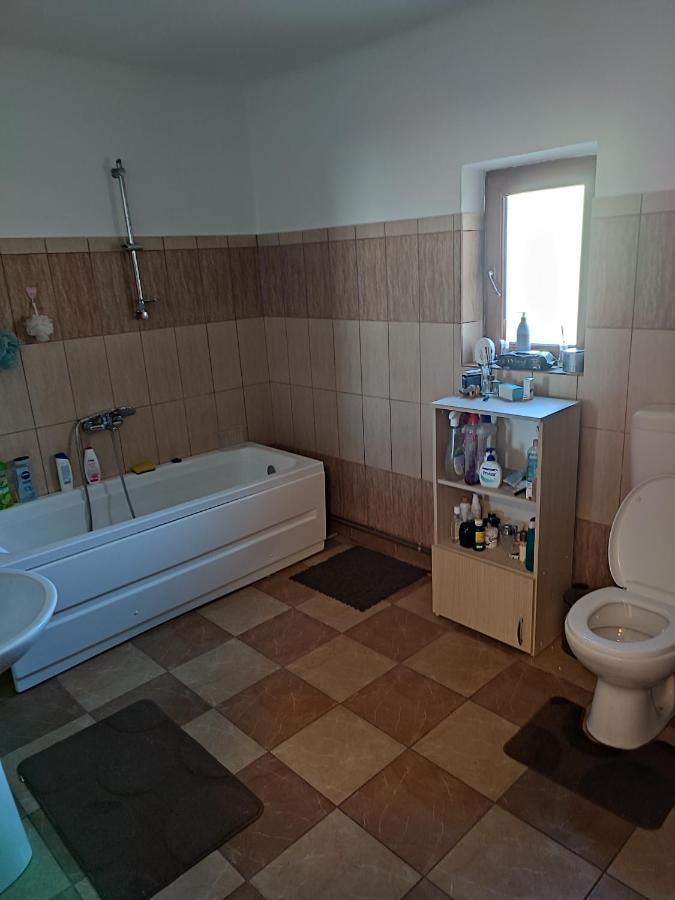 Central House Otel Curtea de Argeş Dış mekan fotoğraf