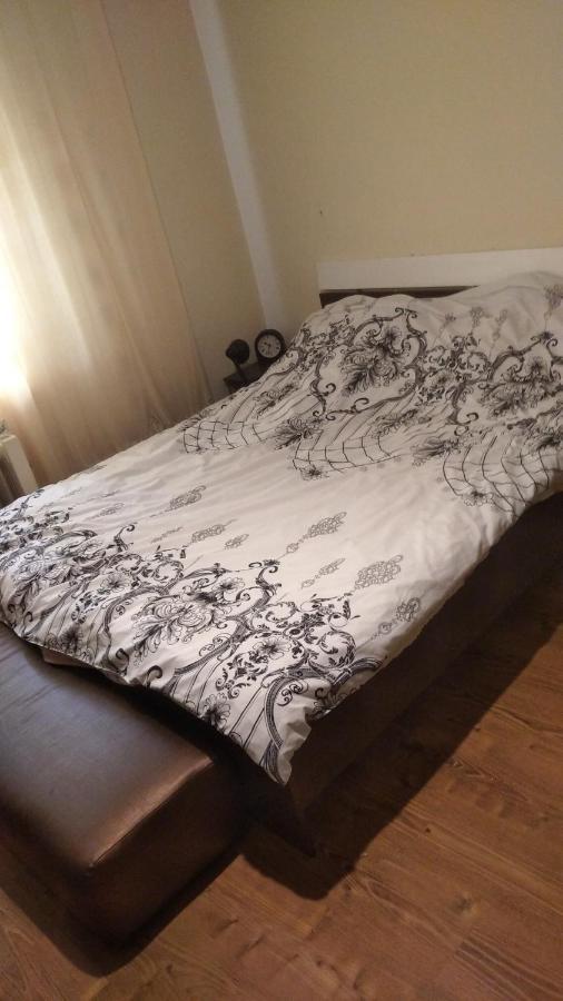 Central House Otel Curtea de Argeş Dış mekan fotoğraf